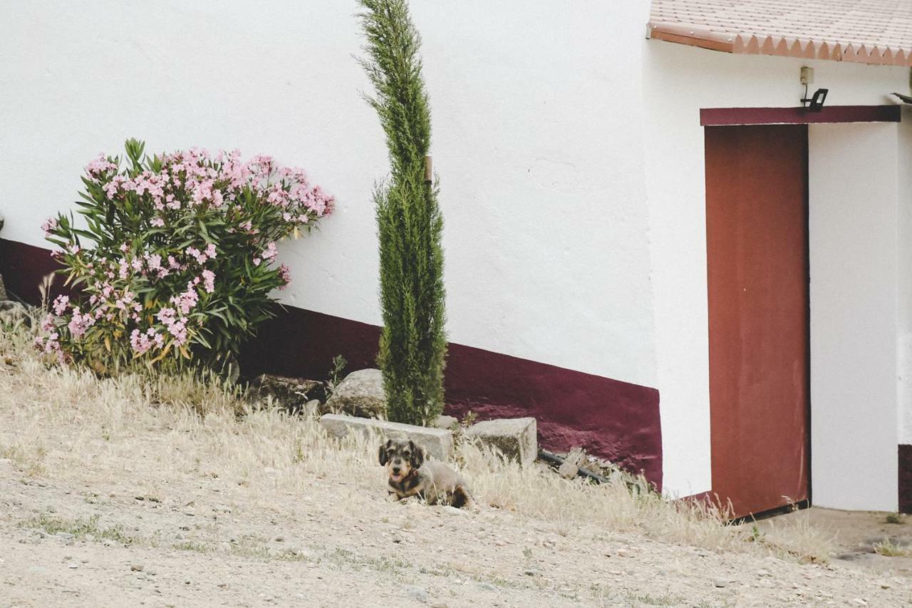 Casas Da Faia - Nature Guest House Arronches Bagian luar foto