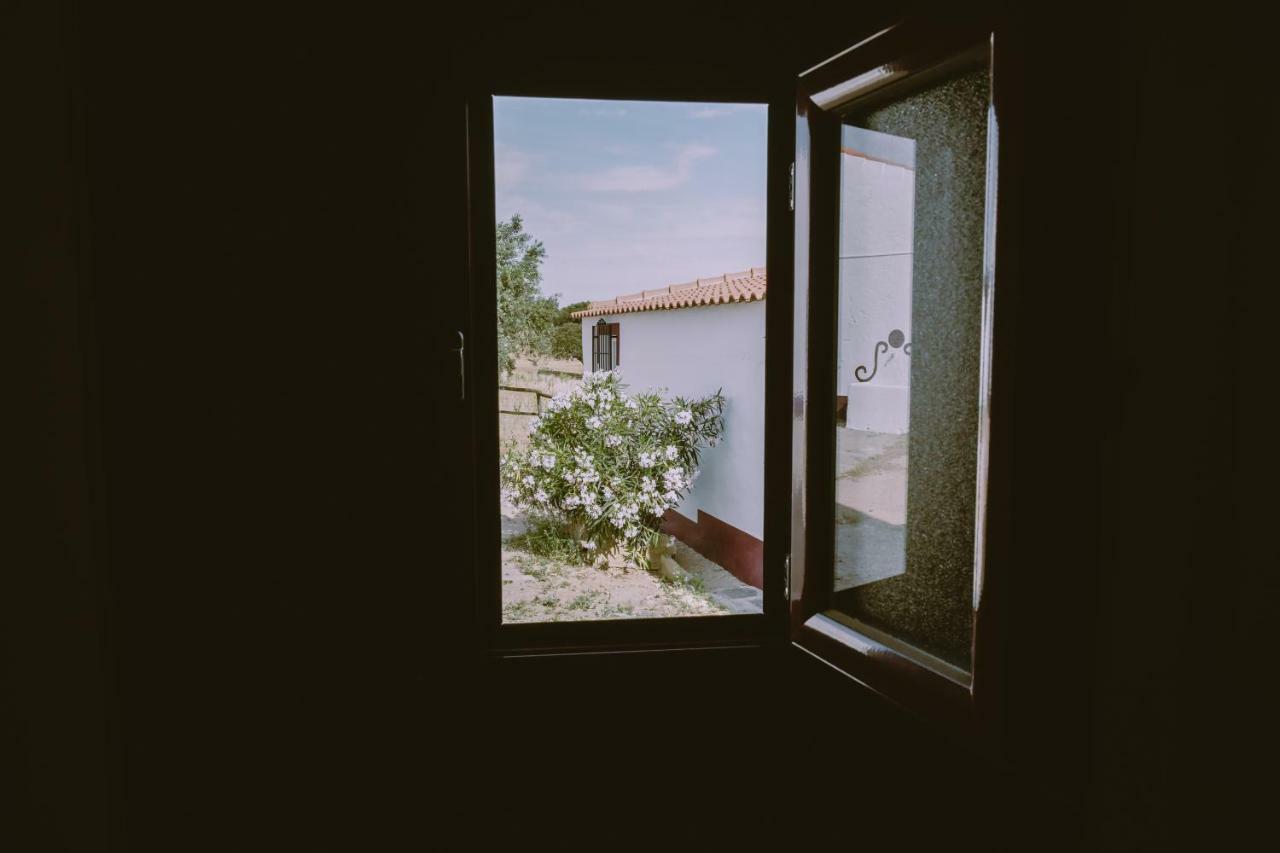 Casas Da Faia - Nature Guest House Arronches Bagian luar foto