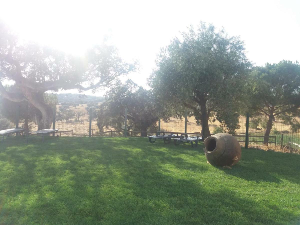 Casas Da Faia - Nature Guest House Arronches Bagian luar foto